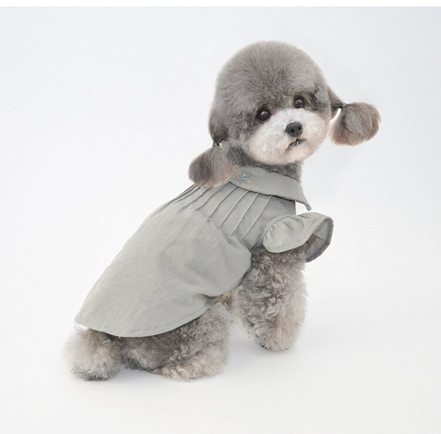 DOG ワンちゃん | 目白のセレクトショップ Littly（リトリー）